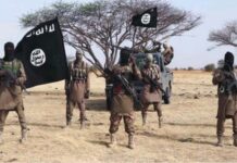 Boko Haram sun kashe manoma 15 a jihar Borno