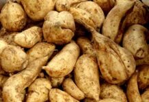 Ko kasan amfanin Dankalin Hausa a jikin ɗan Adam?