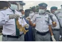 Hukumar Kwastam ta kama busasshen Kifin shark da al’aurar jaki na biliyan biyu a Legas