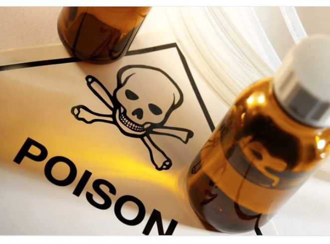 Screenshot_20230916-125735_1