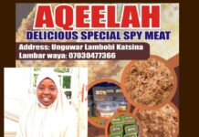 Na fara sana’a ne don na dogara da kaina – Zainab Aqeela Katsina