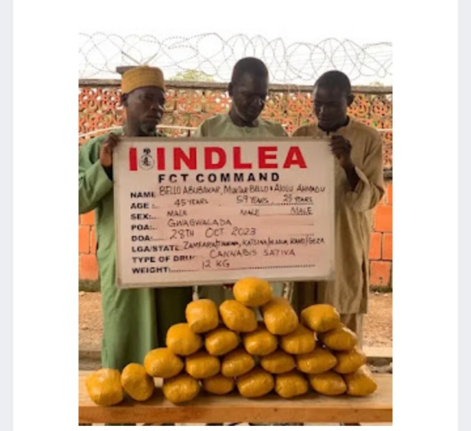 Screenshot_20231105-155116_1