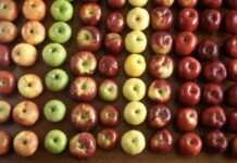 Birnin Almaty, birnin da ya shahara da yawan tsirrai na Tufafi a Kazakhstan