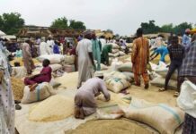 Farashin kayan masarufi a yau Laraba, a kasuwar Maƙarfi ta jihar Kaduna