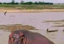 Dorinar ruwa a Kebbi ta yi sanadiyar mutuwar wani mutum Dorinar ruwa a Kebbi ta yi sanadiyar mutuwar wani mutum