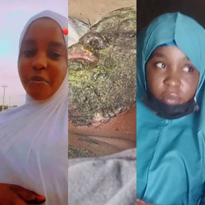 Ina godiya ga jaridar Neptune Prime - Husaina Mai Awara