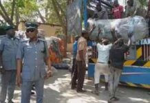 Hukumar Kwastom ta kama waɗanda suka yi fasa-ƙwaurin sassan jikin wasu dabbobi Hukumar Kwastom ta kama waɗanda suka yi fasa-ƙwaurin sassan jikin wasu dabbobi