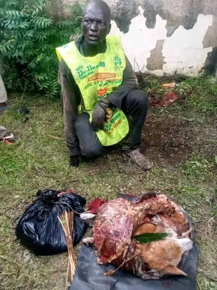 An kama mai yin tsire da naman Kare a Kano