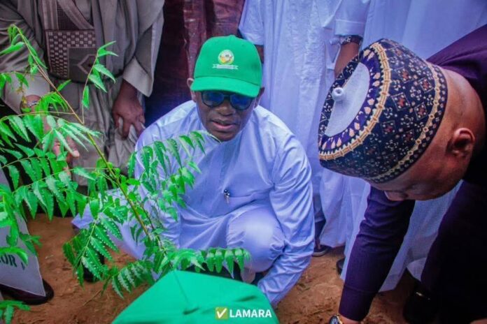 Gwamna Yobe ya ƙaddamar da dashen bishiyoyi na 2025, ya yi gargaɗi a kan sare su