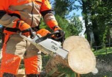 Gwamnatin Kano ta haramta amfani da Injinan sare bishiyoyi a faɗin jihar Gwamnatin Kano ta haramta amfani da Injinan sare bishiyoyi a faɗin jihar