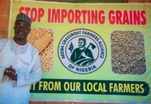 Ƙungiyar manoman Arewa ta koka kan yadda ake fifita kayan ƙasashen waje a kan na gida Najeriya Ƙungiyar manoman Arewa ta koka kan yadda ake fifita kayan ƙasashen waje a kan na gida Najeriya