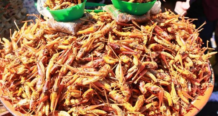 Cin Fara ya fi amfani a jikin ɗan'adam fiye da naman Kaji da na dabbobi - Likitoci