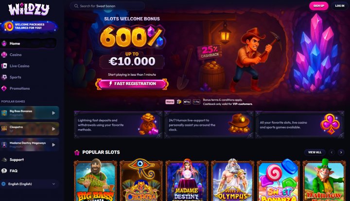 Wildzy login, wildzy casino withdrawal